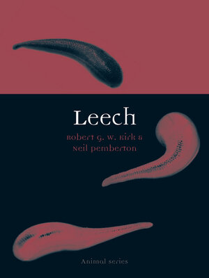 cover image of Leech